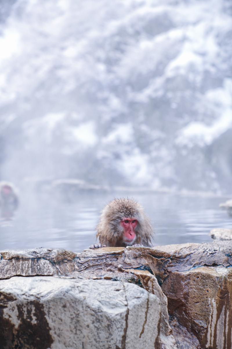 日本小众路线冬,日本冬天观光公路