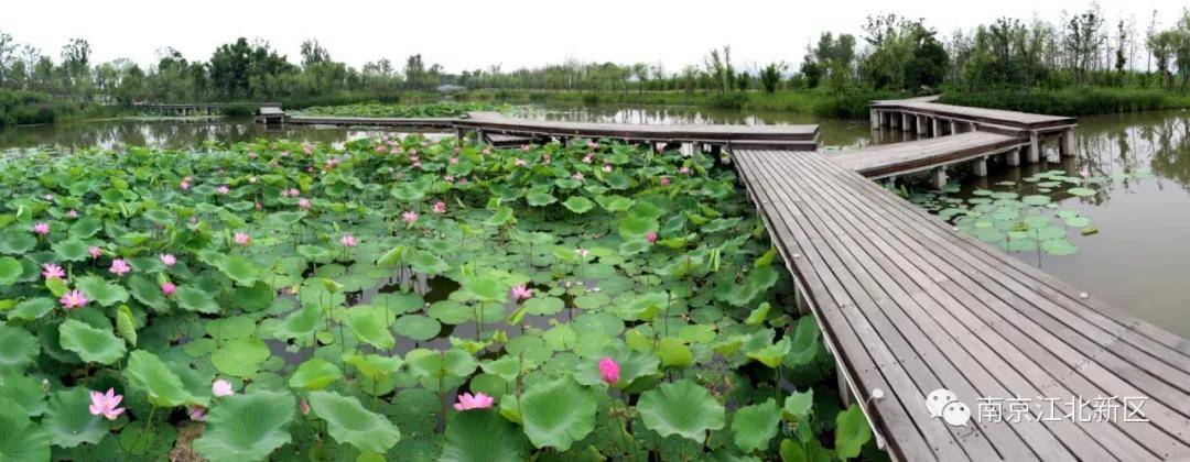 新区高质量发展的意见建议,促进国家级新区高质量发展