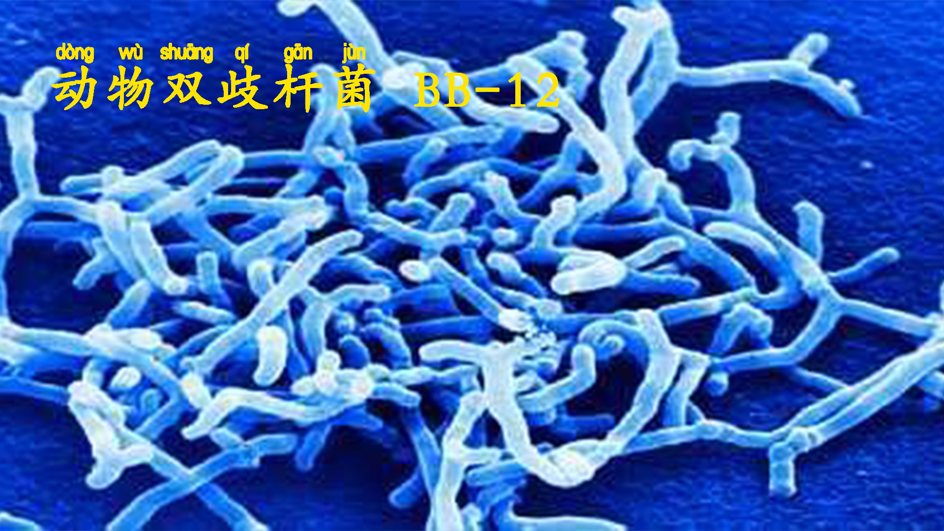 提高免疫力从宝宝抓起,给小孩提高抵抗力和免疫力