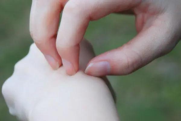 三七粉有三种人不能吃,三七粉没有毛病的人也能吃吗