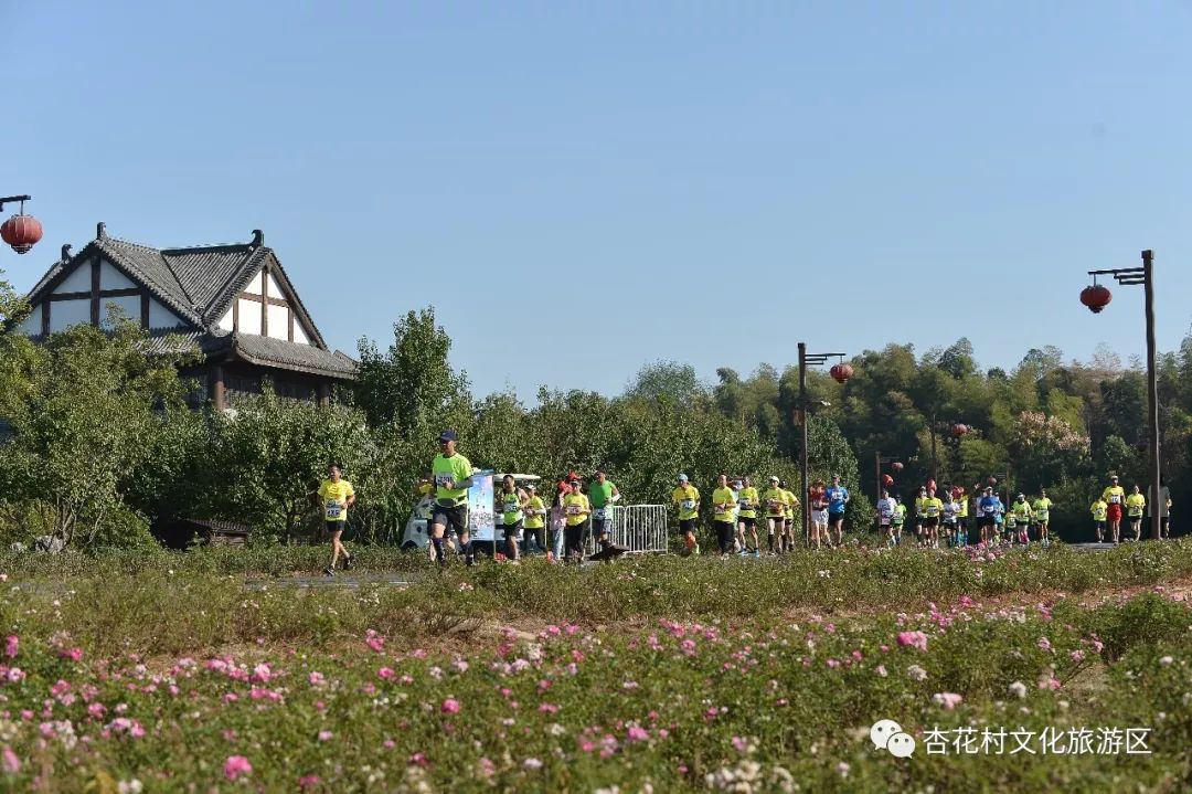 诗意池马赛醉美杏花村