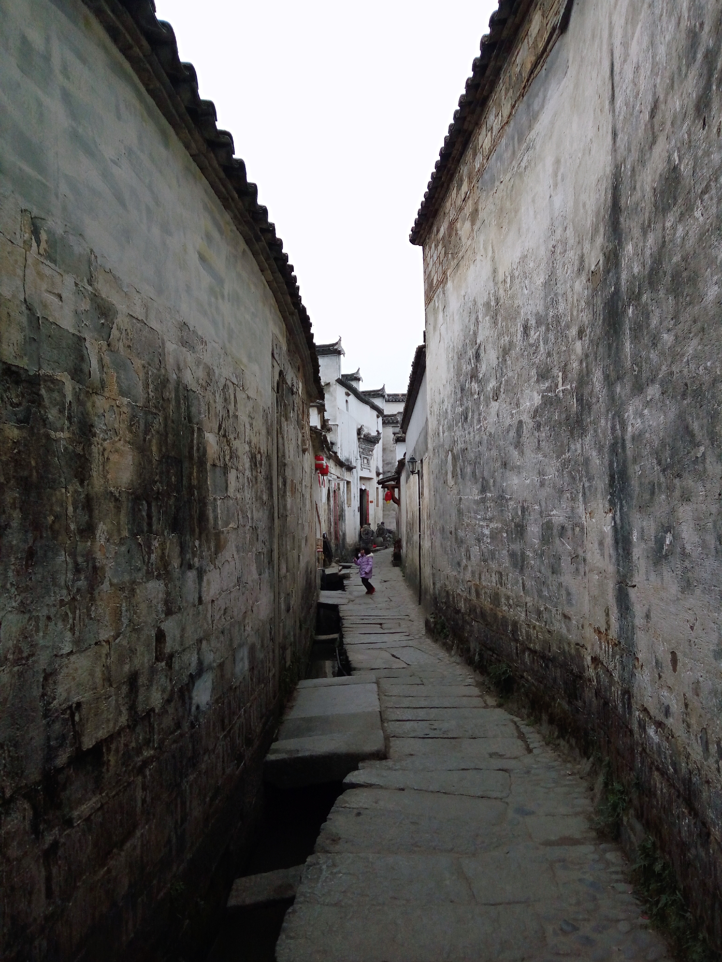 徽派村落宏村风景,山为牛头树为角的意思