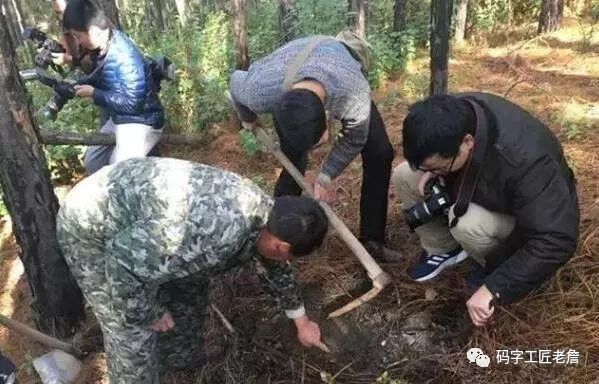 地道美味松露,世界三大美食松露是什么
