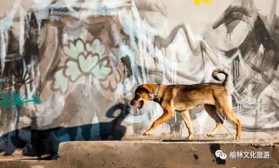 榆林艺术打卡,艺术街区网红打卡