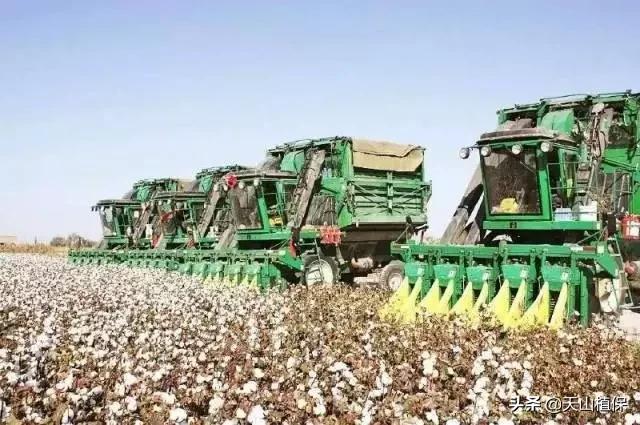 上榜啦！*疆新**鸟市和石市即将被国家命名！未来发展不可估量