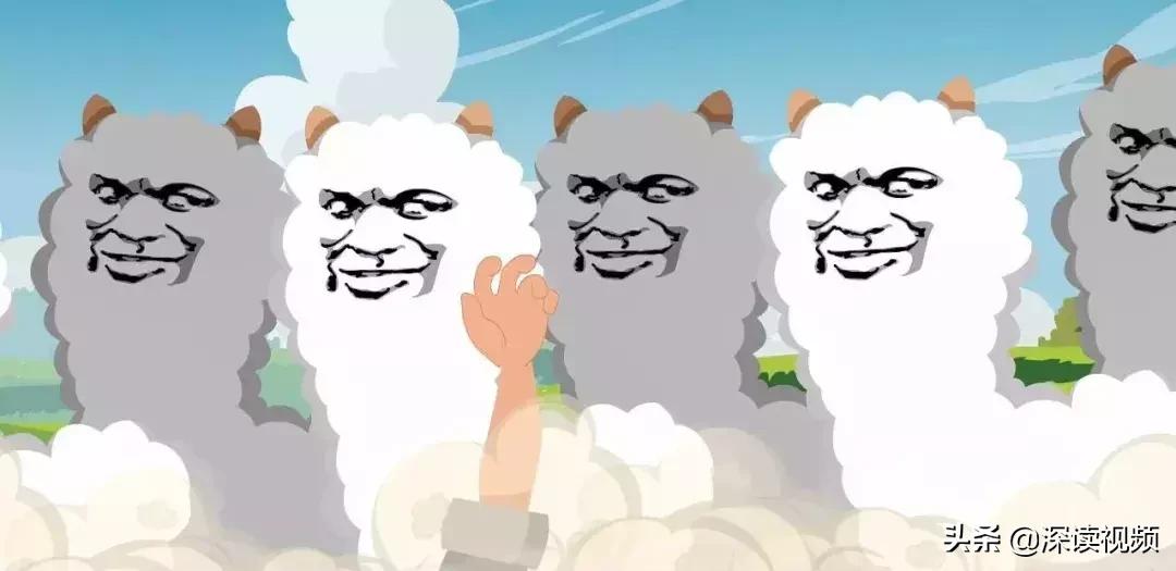 情人节节目如何安排,情人节给单身人士准备的特别节目