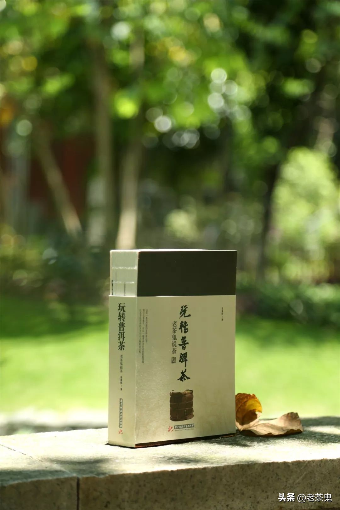 老鬼说茶玩转普洱茶,玩转普洱茶老茶鬼说茶