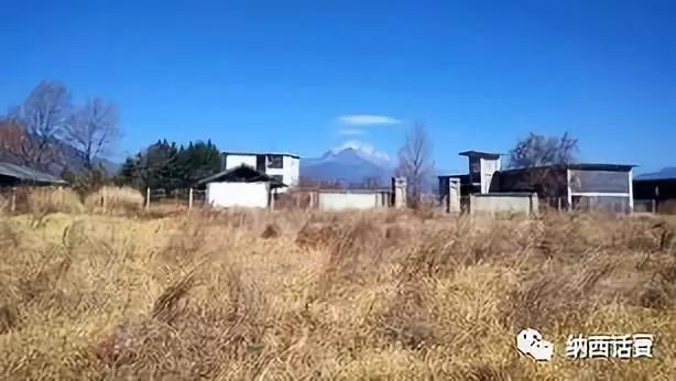 云南丽江杨杰宏,杨杰宏柔术