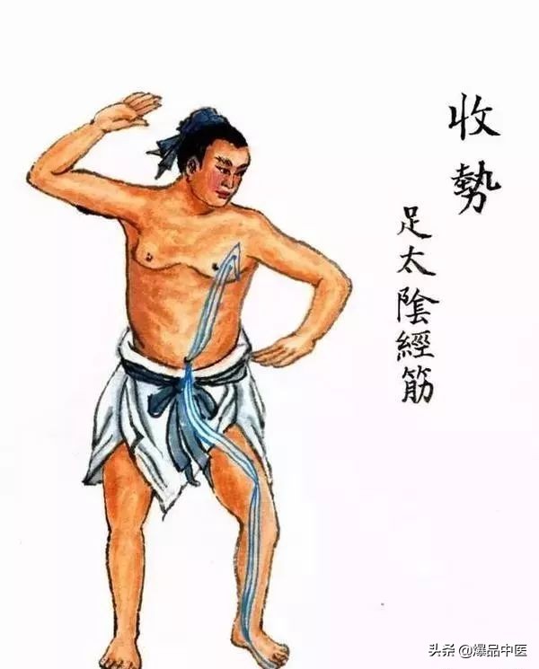 十二经筋连接动态图,十二经筋的图解