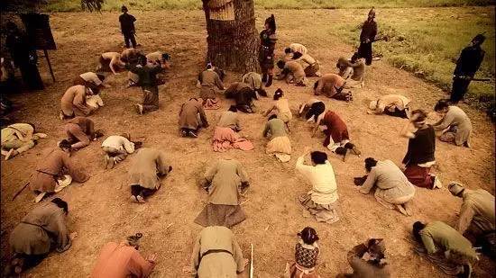 山西老鹳窝大槐树移民,大槐树上的老鹳窝