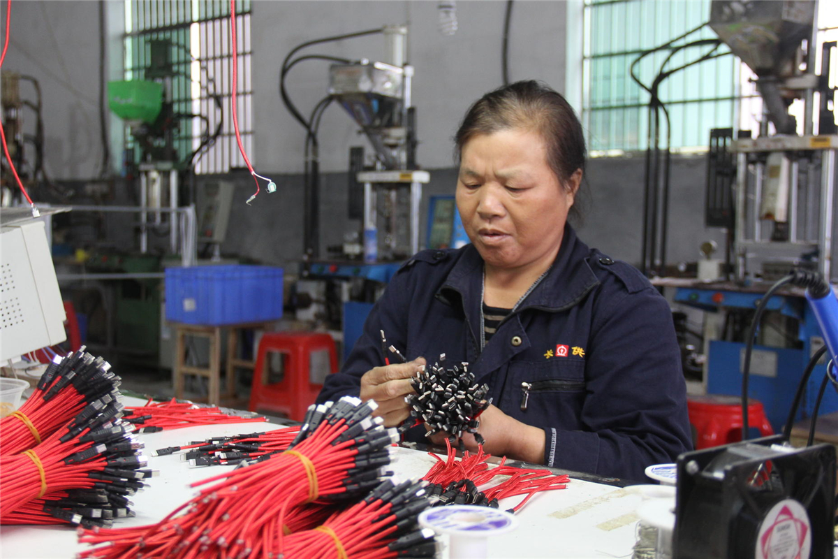 打出产业扶贫组合拳,打好组合拳培养乡村振兴生力军