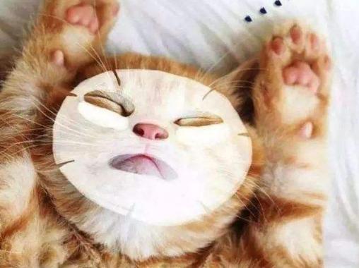 补水涂抹式面膜最好用,怎样敷面膜让你的面膜效果翻倍