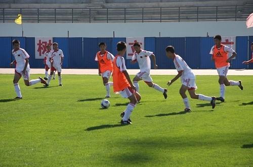 中国帮助意大利抗疫漫画,中国帮助意大利抗击疫情