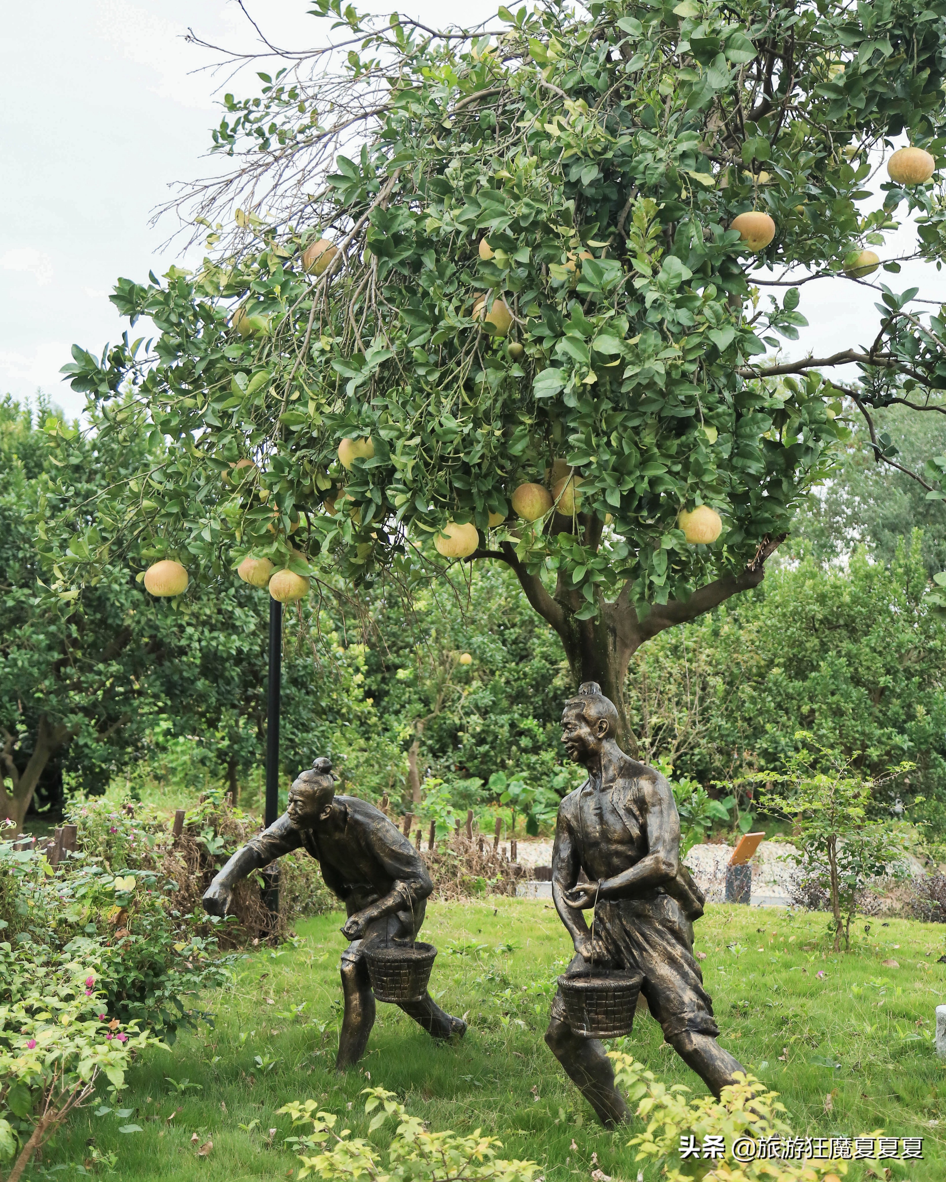 成都市龙泉驿区红旗村,成都市红旗村