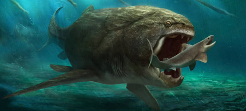 邓氏鱼怎么灭亡,邓氏鱼用什么驯服