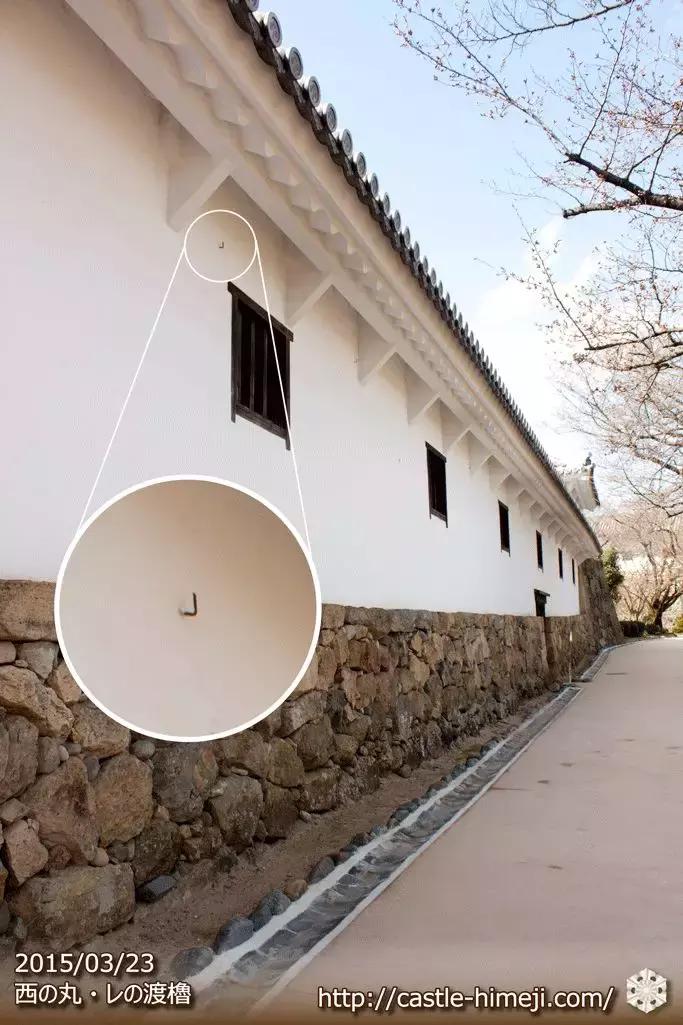 日本奇葩冷知识个个惊到你,10个让人震惊的冷知识