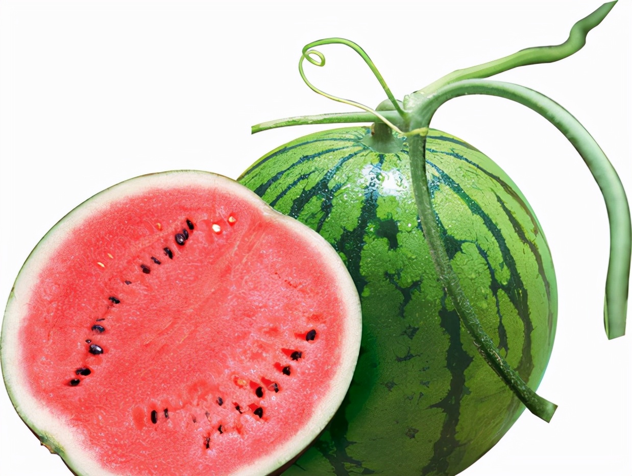 在没有冰箱的情况下怎么保存食物,70年代没有冰箱如何保存食物