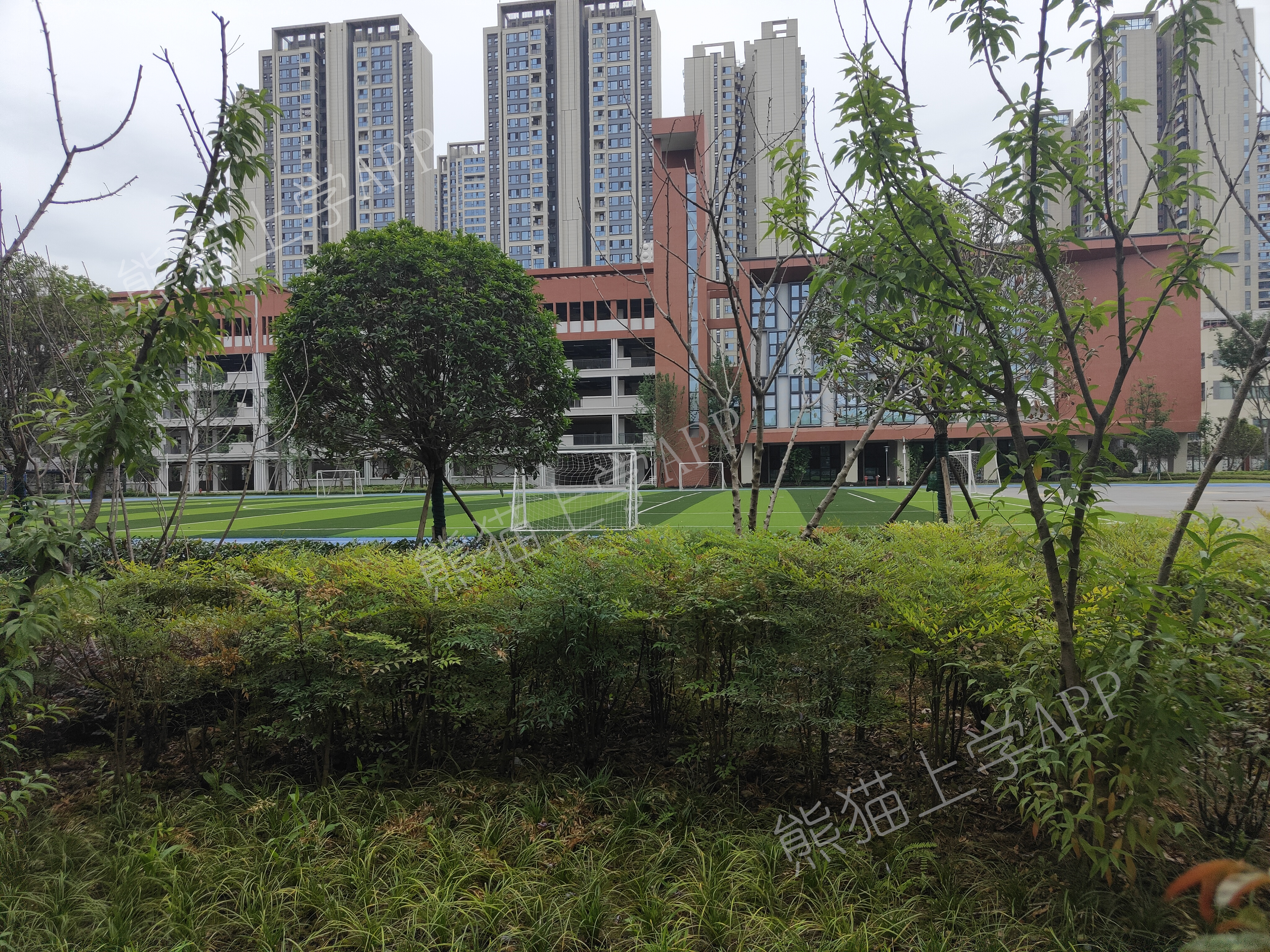 成华小学蜀都校区排名,成华小学蜀都分校是私立吗