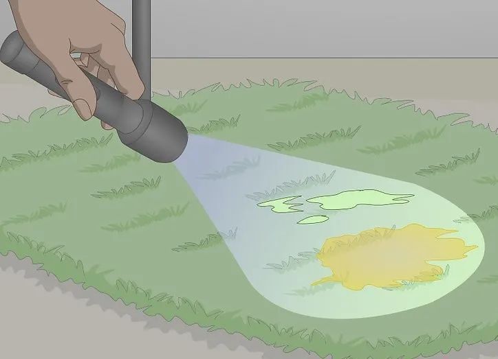 猫尿特别难闻会有什么病吗,猫尿有难闻腥味怎么回事