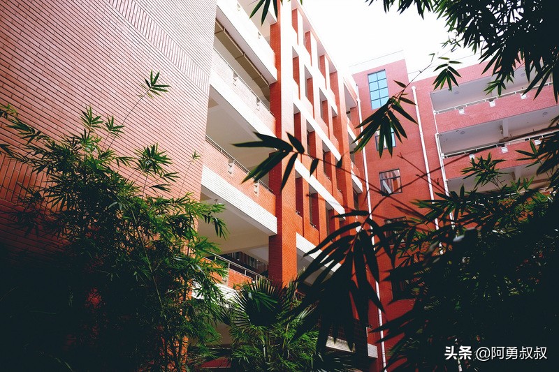 长沙市雅礼洋湖实验中学,长沙雅礼4大名校