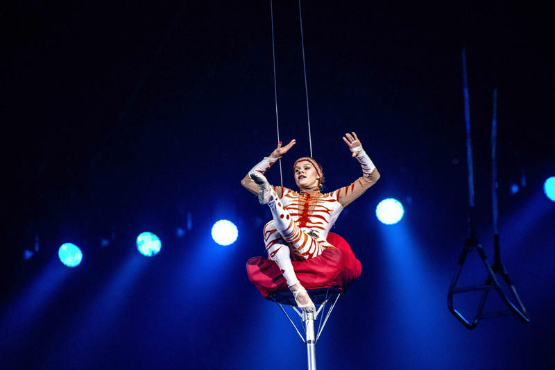 广州长隆野生动物世界旅游攻略,长隆野生动物世界攻略2-3天广州游