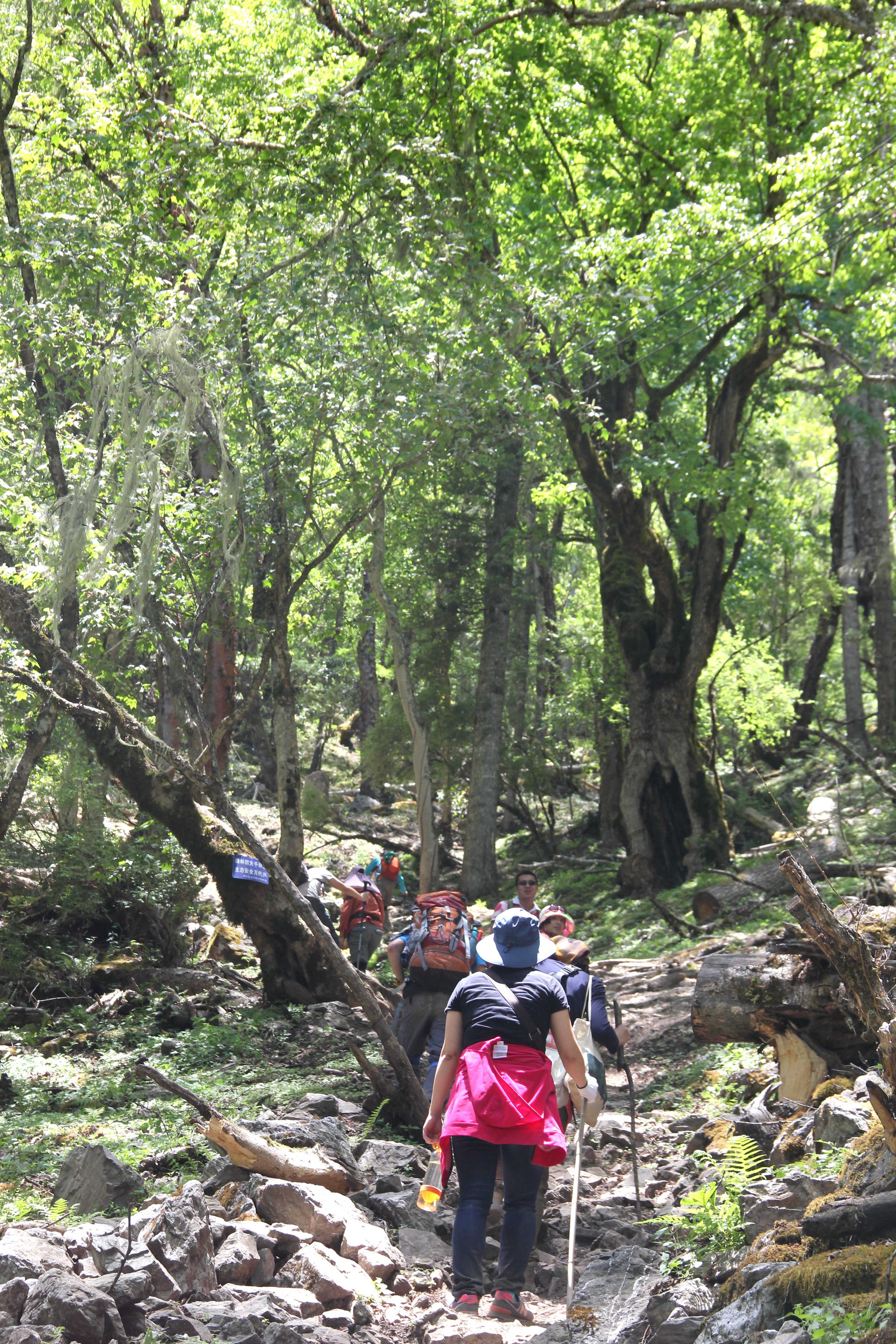 风花雪月一路歌——行走香格里拉散记雪之篇上