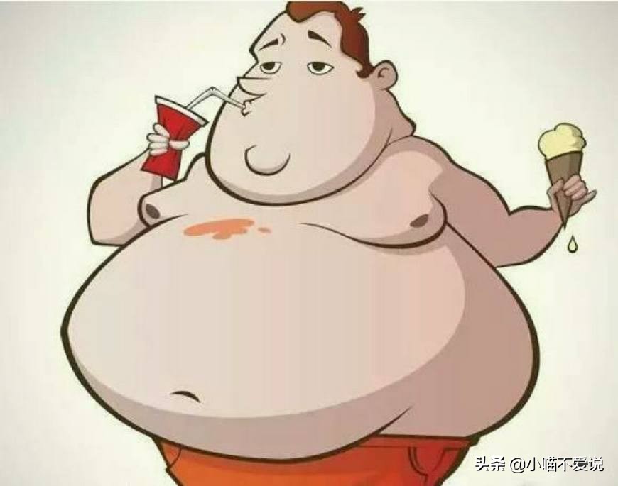 气虚湿热肥胖怎么调理,气虚痰湿型肥胖怎么调理