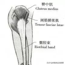 o型腿的自我鉴别及矫正方法,怎么知道o型腿是不是在慢慢变好