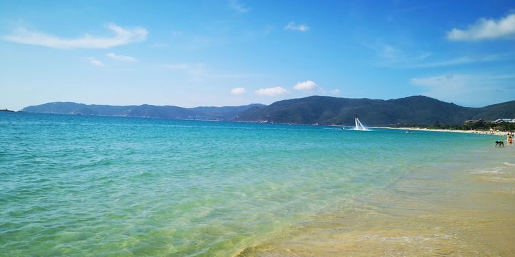 三亚红树林有亲子活动,三亚红树林和海韵