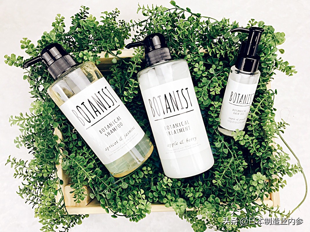 日本新兴产业,日本新兴企业