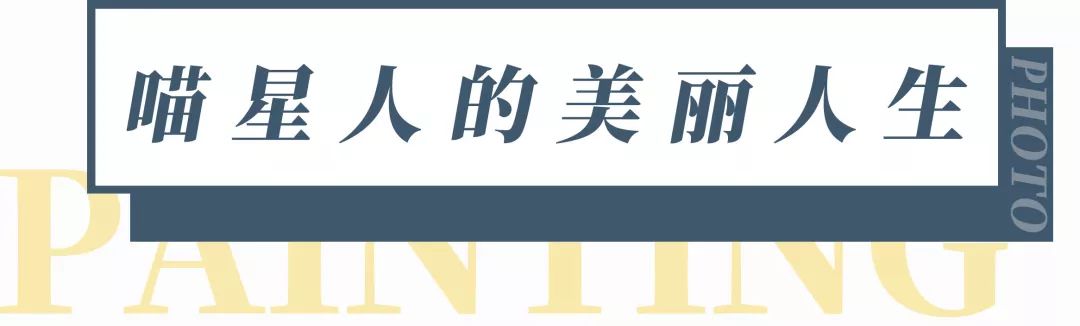 南山科技园有什么玩的,深圳南山科技园游玩
