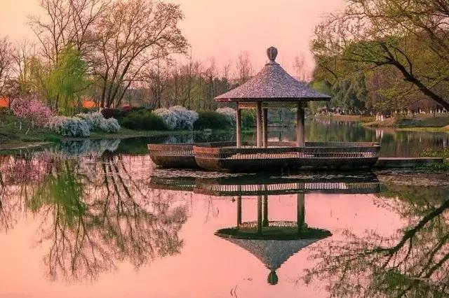 南京的春天,南京的春天视频