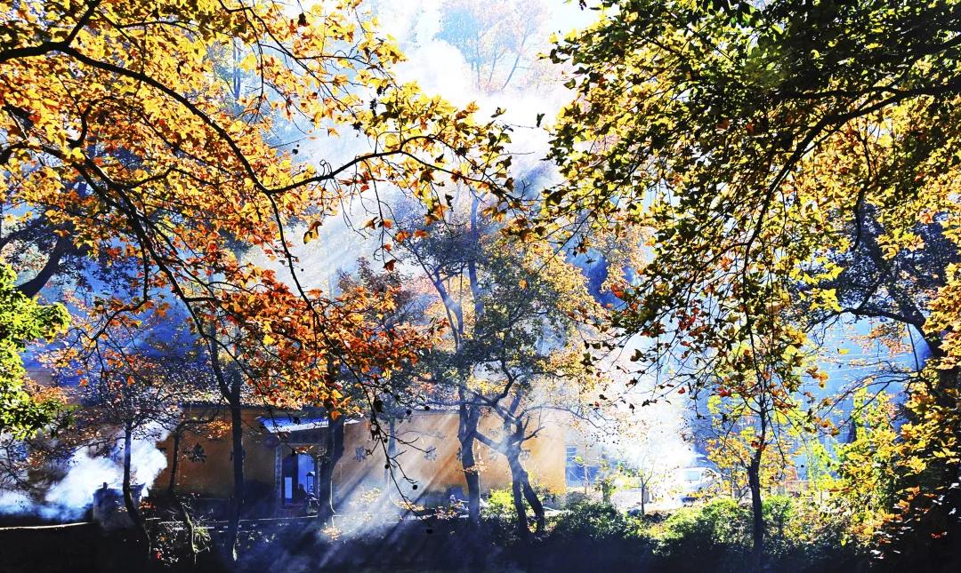 缙云旅游景点拍照攻略,缙云景区拍照攻略视频