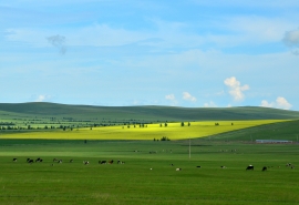 燕郊属于北京吗？专家回答太到位了