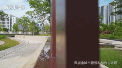 不离深,深圳高颜值绿道推荐一日游正好