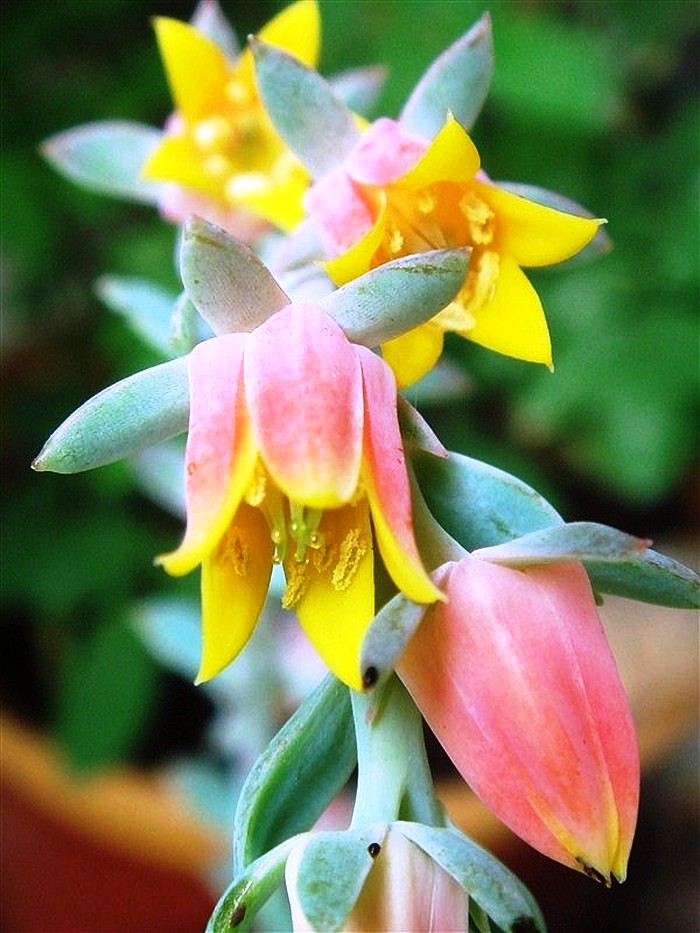 阳光乐观正能量的说说,励志语录经典感悟人生说说