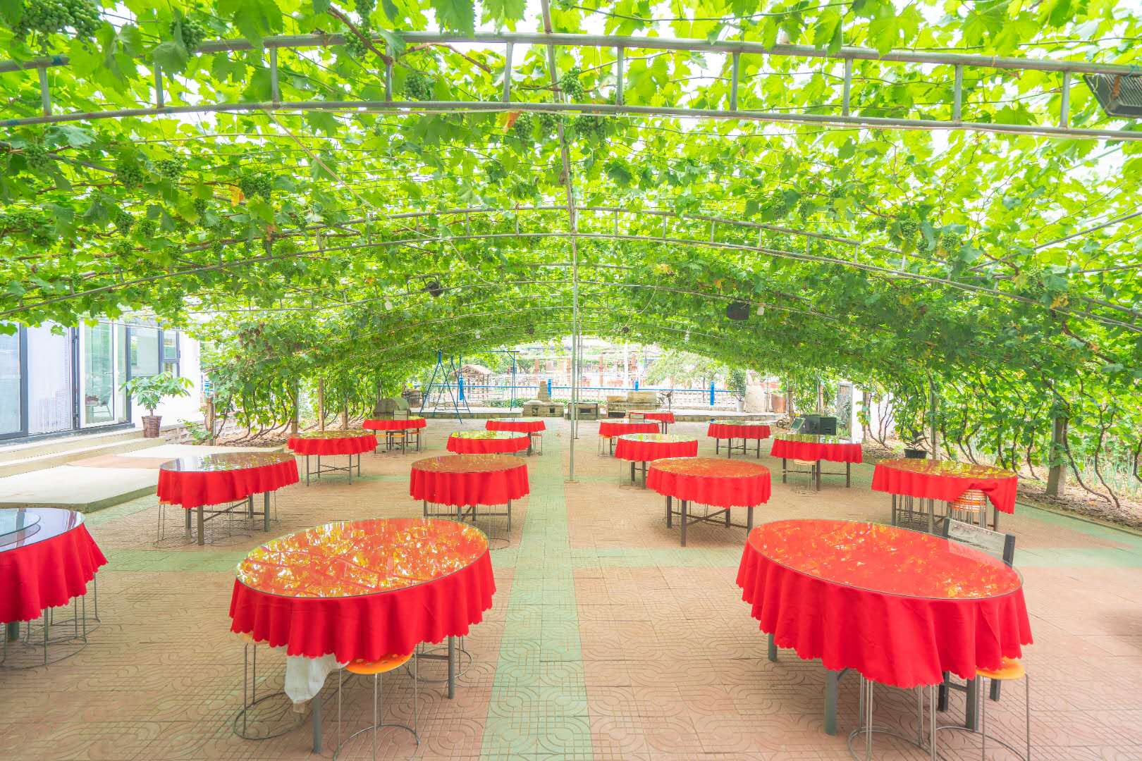 秦皇岛昌黎葡萄沟吃住一体农家院,昌黎海边农家院