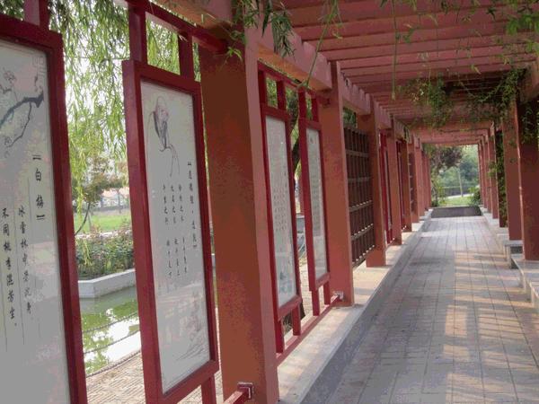 安徽亳州有什么著名的高中,2021安徽亳州高考排名