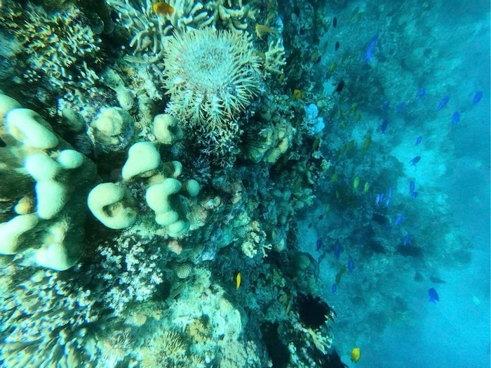 菲律宾自由行旅游攻略地图,菲律宾10天深度游