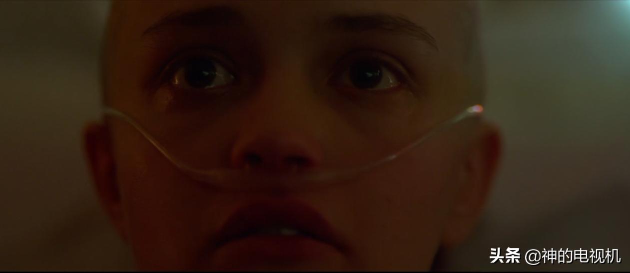 看一部优秀电影并写出观后感,影迷致敬电影