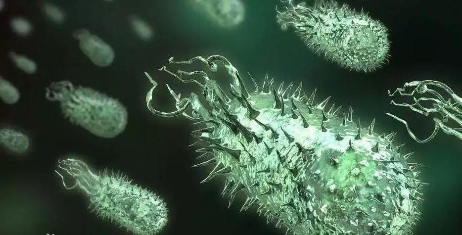 菌群在呼吸道和口腔炎症和感染中的作用