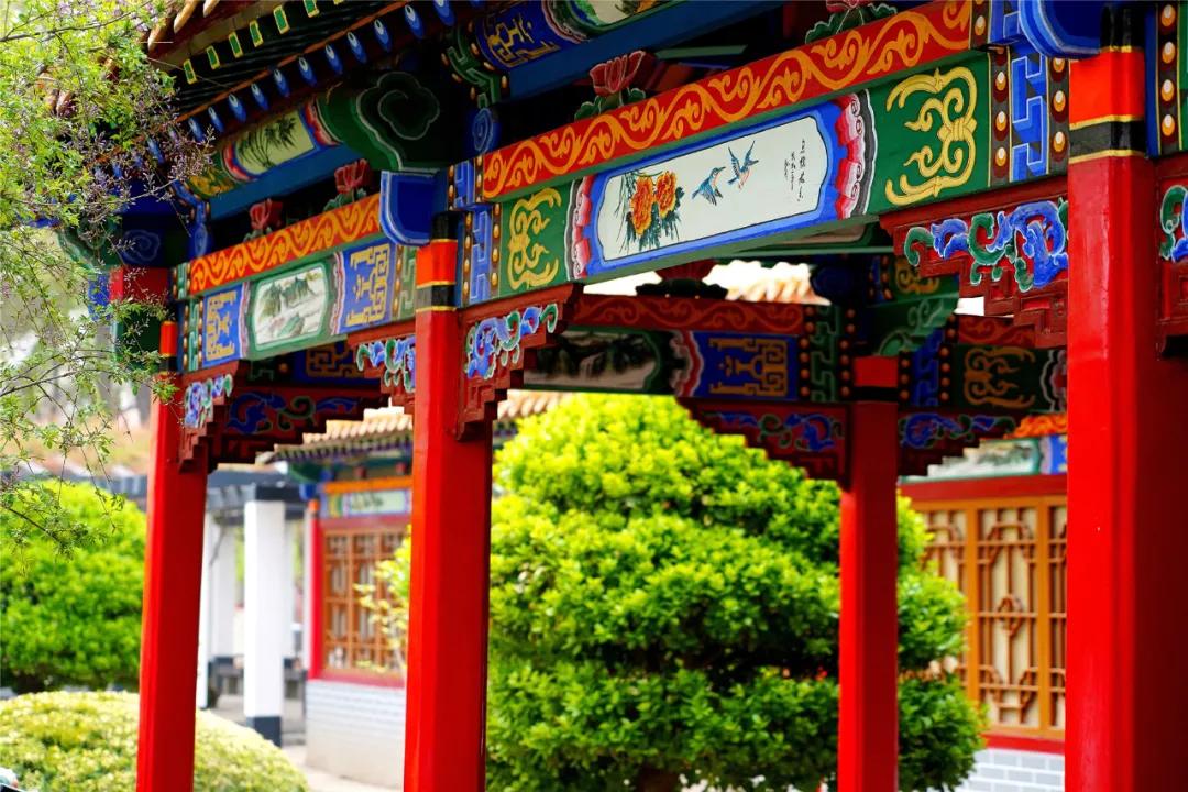 宁夏银川街心公园,银川兴庆区宁园门票多少