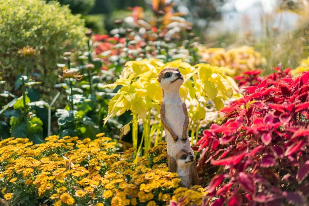 花点时间游荆门,花点时间武汉天地店
