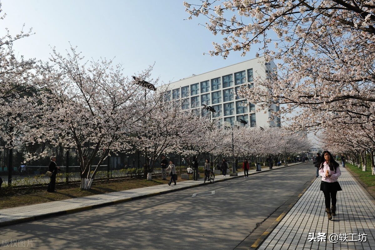 华五与东南大学,华五和东南大学