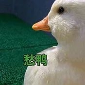 妮维雅q10面霜lamer,lamer面霜简装和精装有什么区别