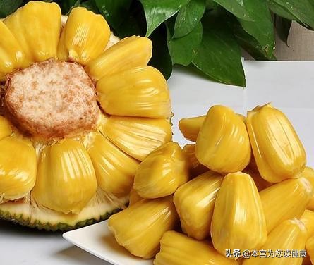 大树菠萝蜜怎么样才能吃,菠萝蜜超级巨无霸大果