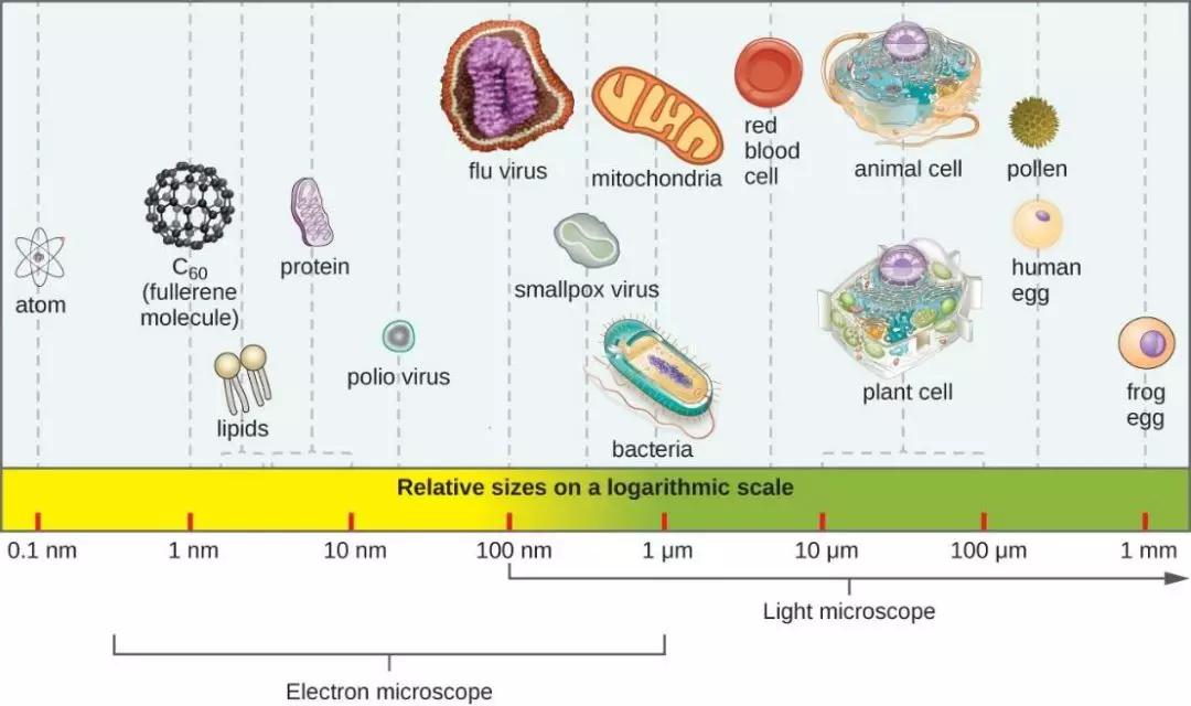 科学使用口罩倡议书,科学使用电池的注意事项