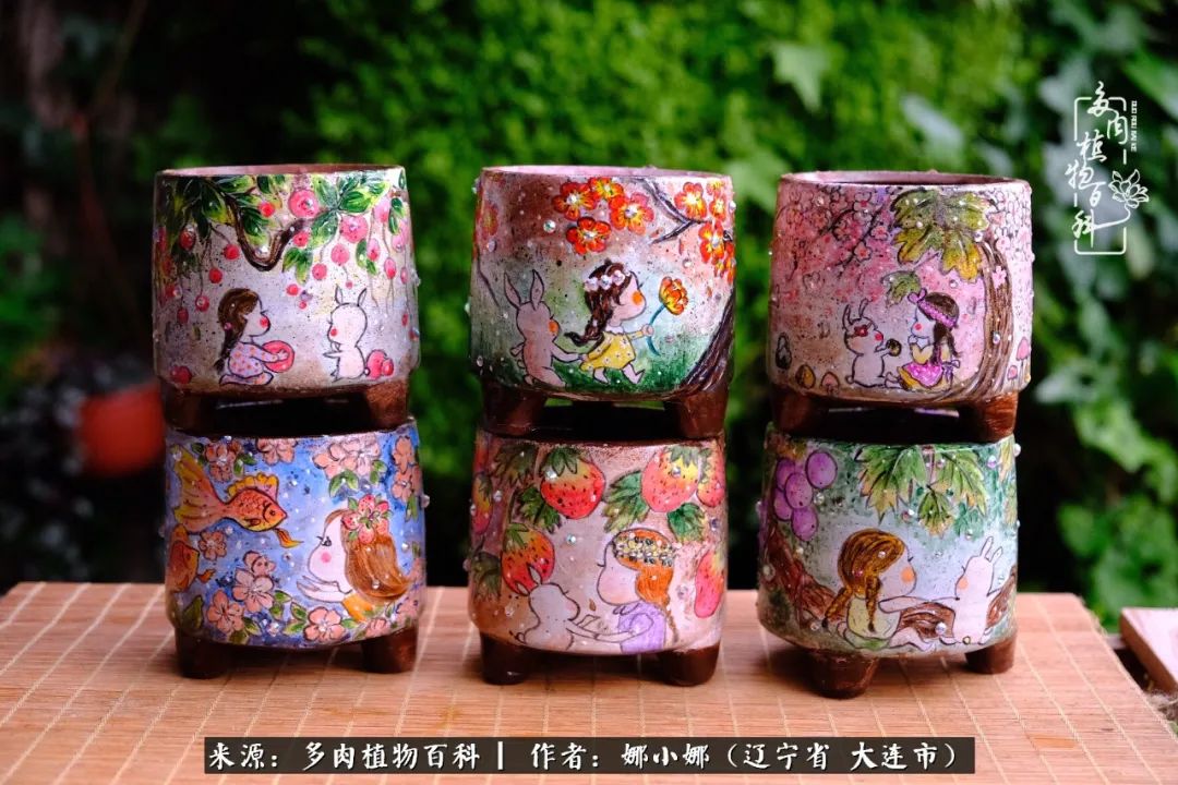 你是盆我是花，你护我周全，我为你绽放