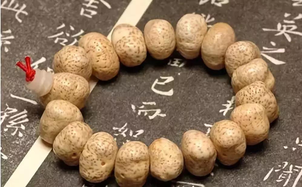 最全的菩提子图解太美了,最好的菩提子