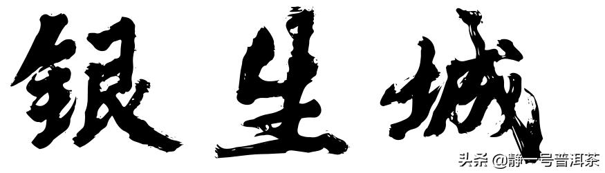 茶出银生无量山,茶出银生